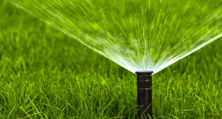 Why Timely Irrigation System Installation Prevents Lawn Damage Katy, TX