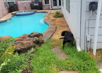 Best Irrigation Services